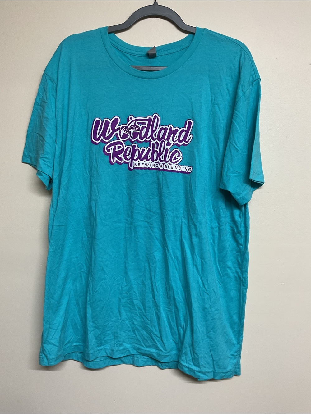Next Level Apparel Teal Woodland Republic Graphic Tee